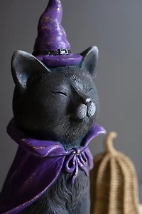 Black Cat with Purple Hat Statue