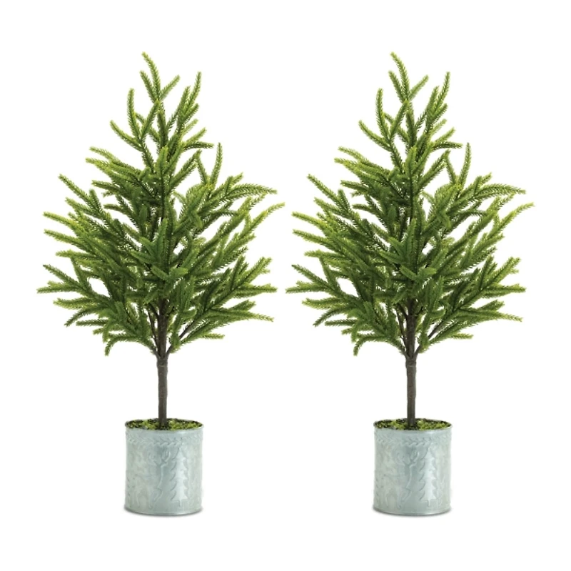 Mini Pine Trees in Galvanized Planters, Set of 2