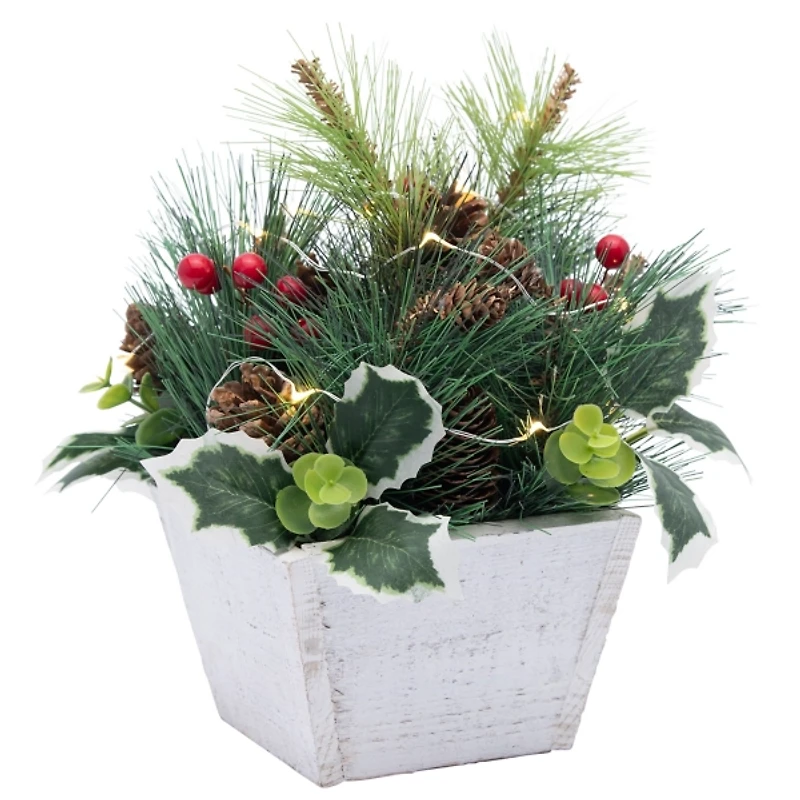 LED Pine and Holly Centerpiece