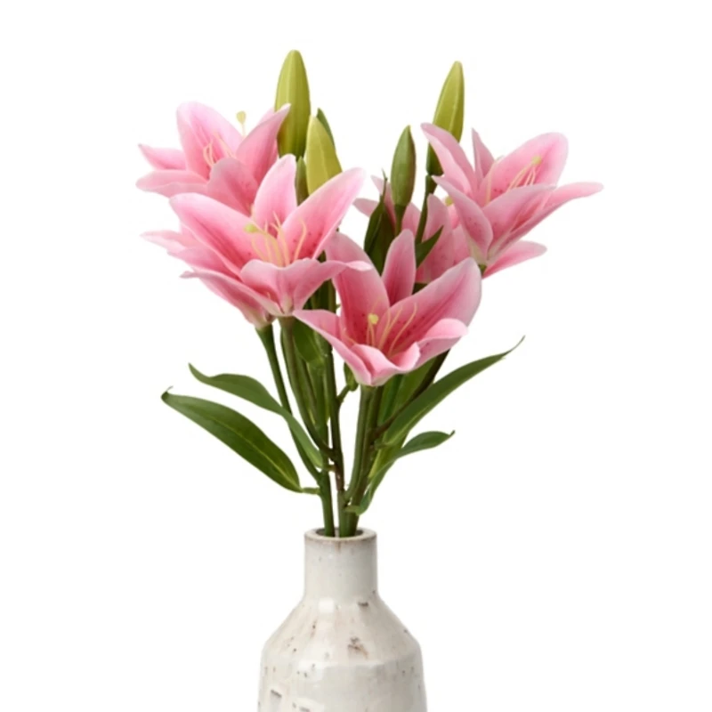 Pink Lily and Leaf Bundle