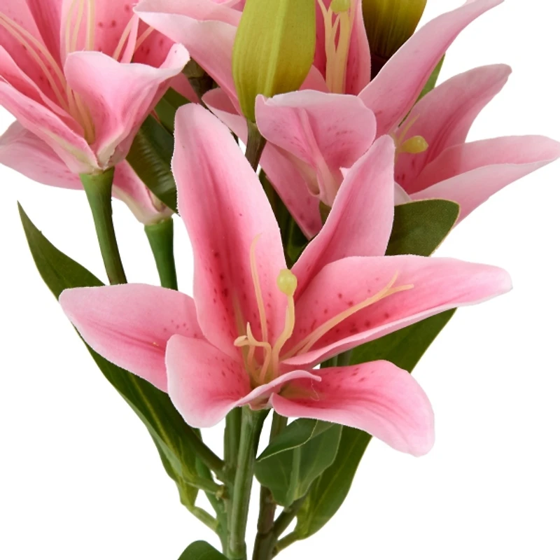 Pink Lily and Leaf Bundle