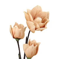 Orange Japanese Magnolia Foam Spray