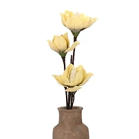 Yellow Japanese Magnolia Foam Spray