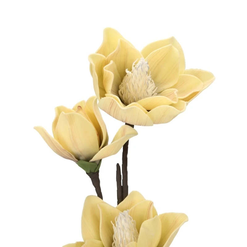 Yellow Japanese Magnolia Foam Spray