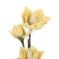 Yellow Japanese Magnolia Foam Spray