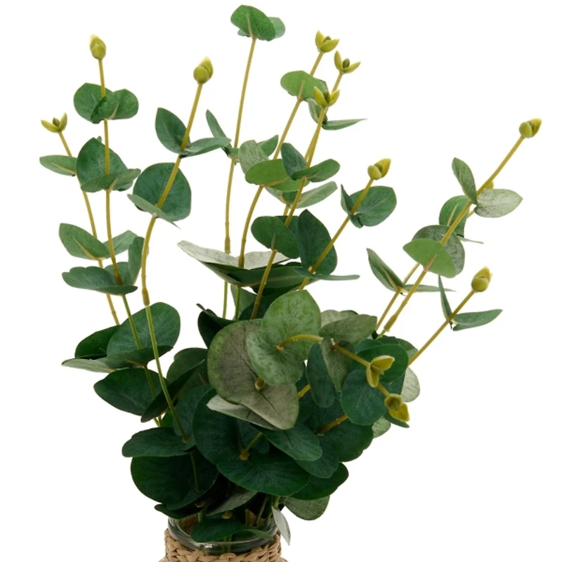 Eucalyptus Arrangement in Rattan Vase