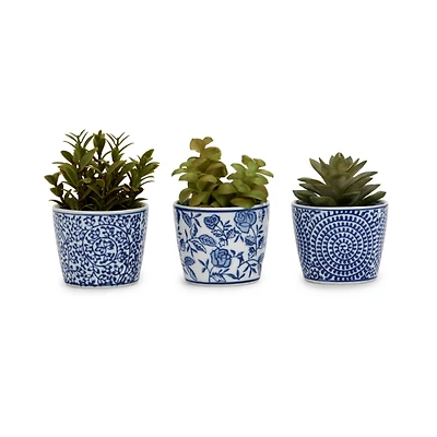 Mini Succulents in Toile Vases