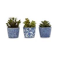Mini Succulents in Toile Vases