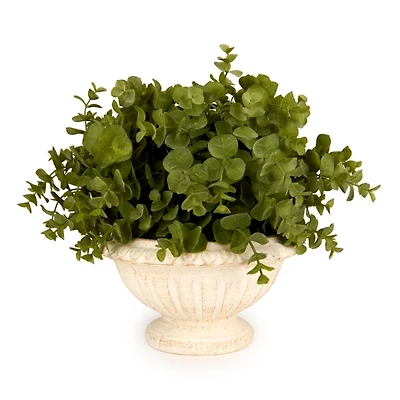 Boxwood Greenery in Urn Arrangement