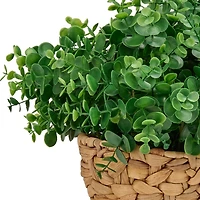 Oversized Spiral Eucalyptus Arrangement