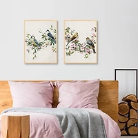 Songbird Duos Framed Canvas Art Prints, Set of 2