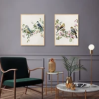 Songbird Duos Framed Canvas Art Prints, Set of 2