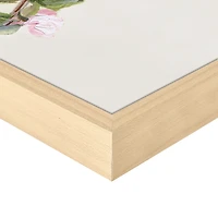 Songbird Duos Framed Canvas Art Prints, Set of 2