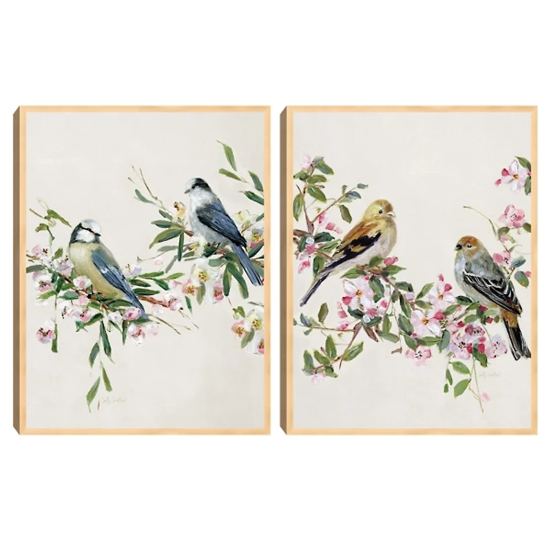 Songbird Duos Framed Canvas Art Prints, Set of 2