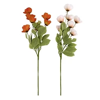 Corn Poppy Stems