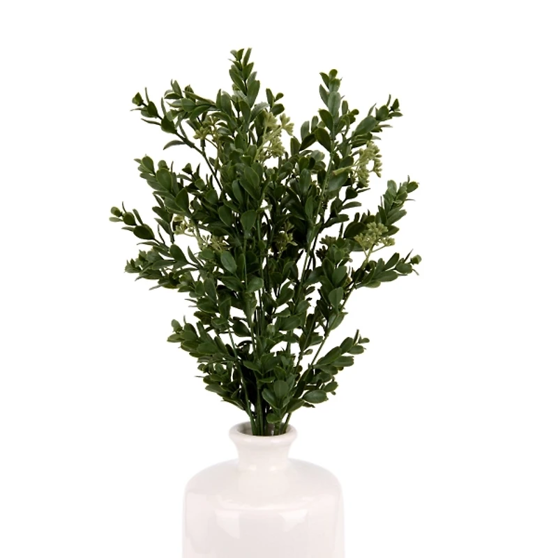 Boxwood Seed Bundle
