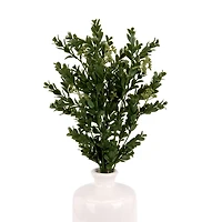 Boxwood Seed Bundle