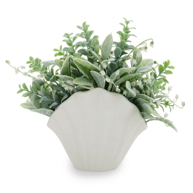 Lambs Ear Arrangement in Shell Vase