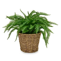 Fern Arrangement in Rope Basket