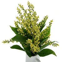 Yellow Seed Pod Arrangement in Vase