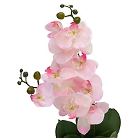 Pink Orchid Arrangement in White Vase