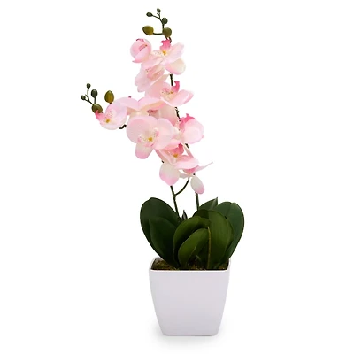 Pink Orchid Arrangement in White Vase