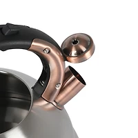 Mr. Coffee 2.1Qt Flintshire Tea Kettle With Lid