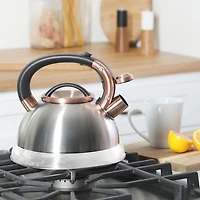 Mr. Coffee 2.1Qt Flintshire Tea Kettle With Lid