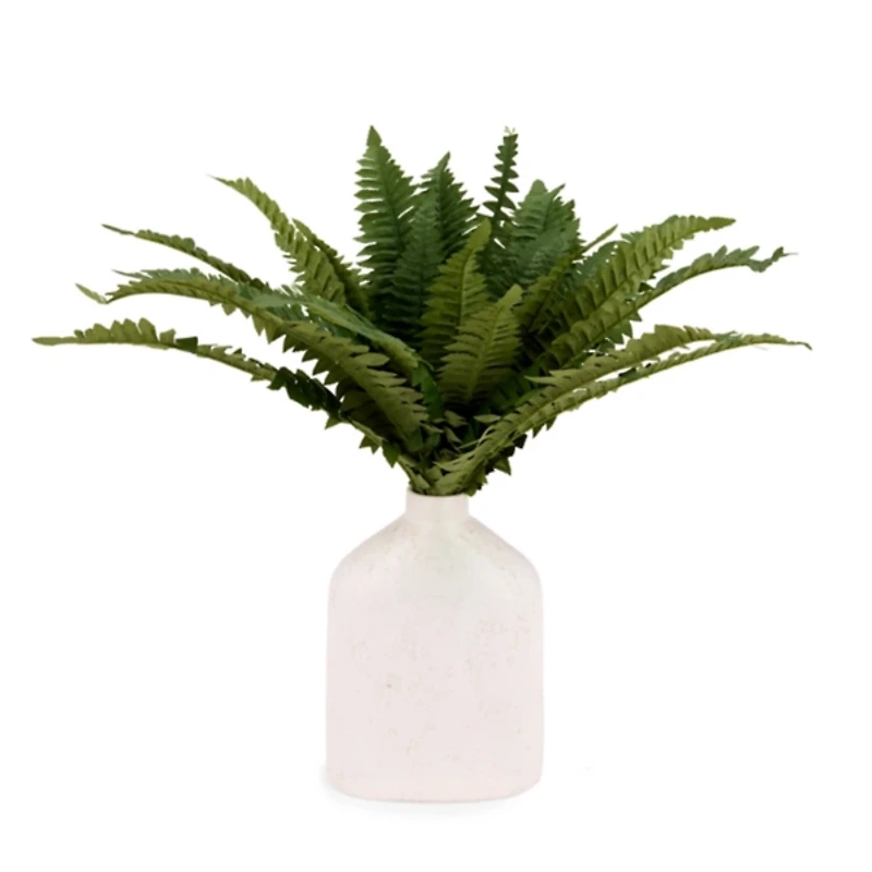UV Boston Fern Bouquet