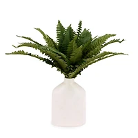 UV Boston Fern Bouquet