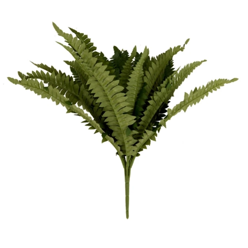 UV Boston Fern Bouquet