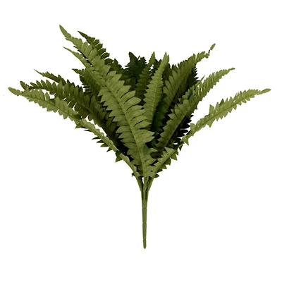 UV Boston Fern Bouquet