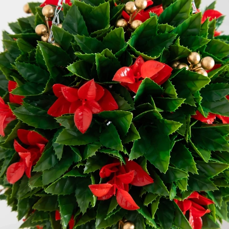 Photinia and Berries Christmas Hanging Plant
