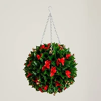 Photinia and Berries Christmas Hanging Plant