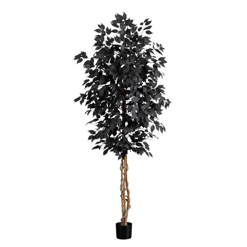 7 ft. Black Ficus Natural Trunk Halloween Tree
