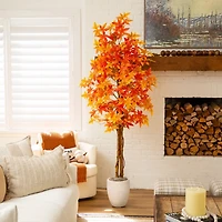 7 ft. Autumn Deluxe Maple Tree