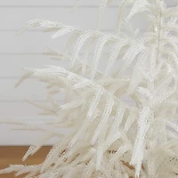 ft. White Norfolk Island Pine Christmas Tree