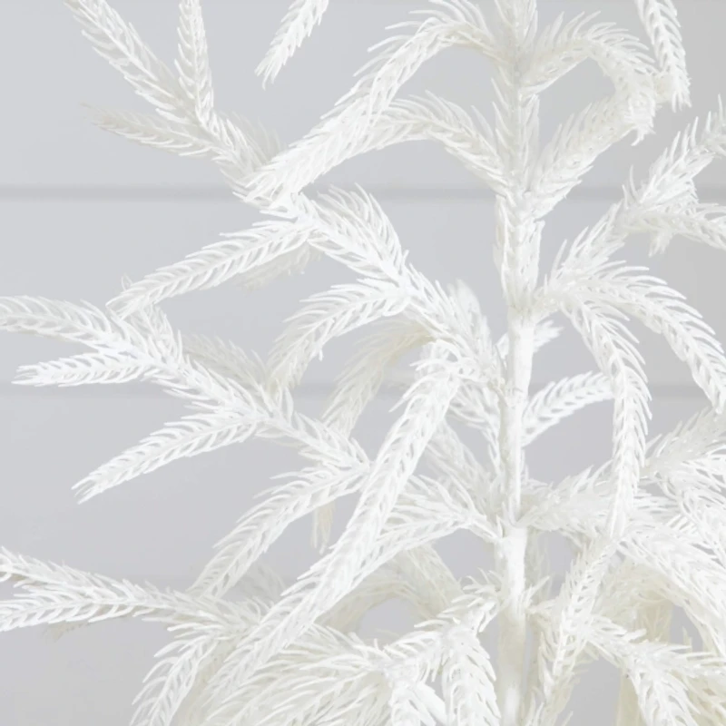 2 ft. White Norfolk Island Pine Christmas Tree