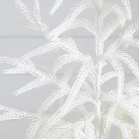 2 ft. White Norfolk Island Pine Christmas Tree