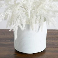 2 ft. White Norfolk Island Pine Christmas Tree