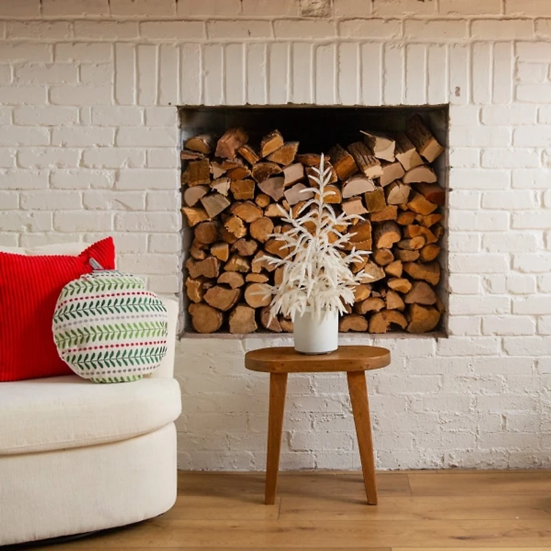 2 ft. White Norfolk Island Pine Christmas Tree