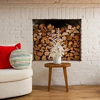 2 ft. White Norfolk Island Pine Christmas Tree