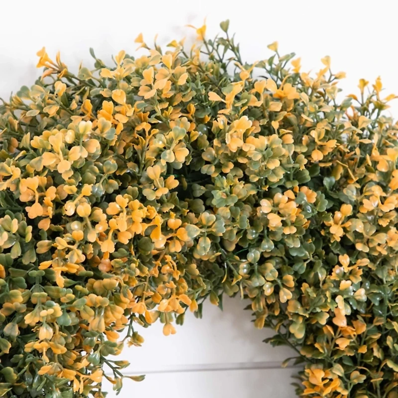 Pre-Lit Boxwood Harvest Wreath