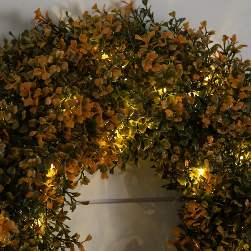 Pre-Lit Boxwood Harvest Wreath