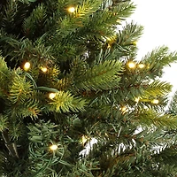 5.5 ft. Pre-Lit Jacobien Artificial Christmas Tree