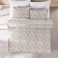 Zara Misty Rose 3-pc. Full/Queen Quilt Set