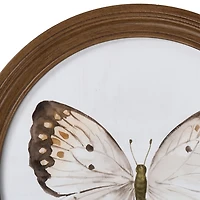 Round Neutral Butterfly & Moth Framed Art Prints