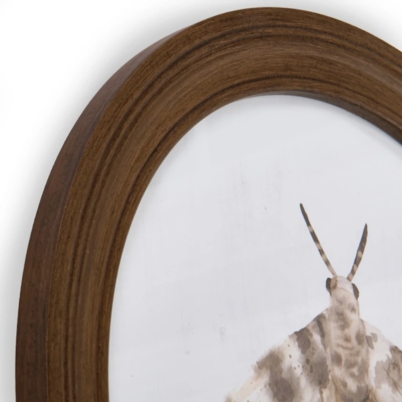 Round Neutral Butterfly & Moth Framed Art Prints