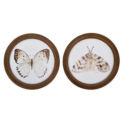 Round Neutral Butterfly & Moth Framed Art Prints