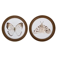 Round Neutral Butterfly & Moth Framed Art Prints